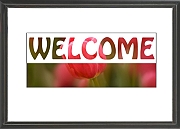 Wall_Art_Alphabet_Photography_Art_ 2420